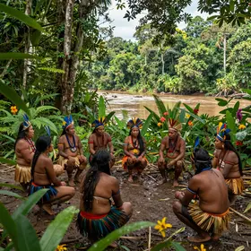 guia-completo-de-cultura-amazonica-referencias-historia-e-usos-atuais