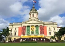 democratização da cultura