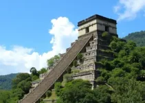 Sistema Único de Saúde