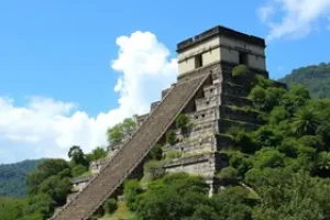 Sistema Único de Saúde