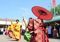 festival de cultura japonesa