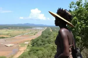 memória negra